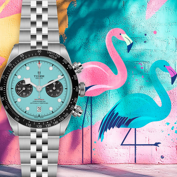 BLACK BAY CHRONO 'Flamingo Blue'