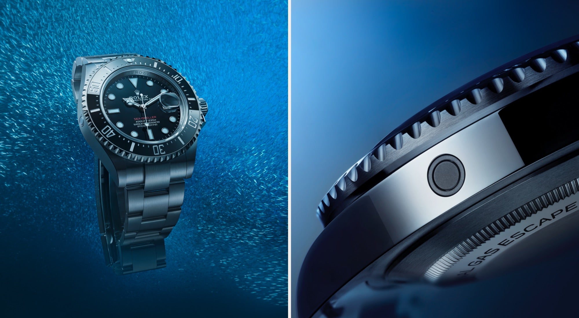 rolex sea dweller watches - deacons jewellers