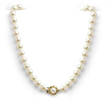 Single row of uniform cultured pearls